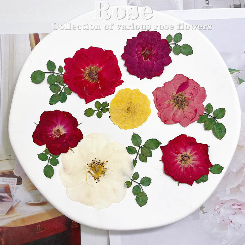 Dried Flower Bookmark - 60pcs Pressed Dried Red Yellow Pink