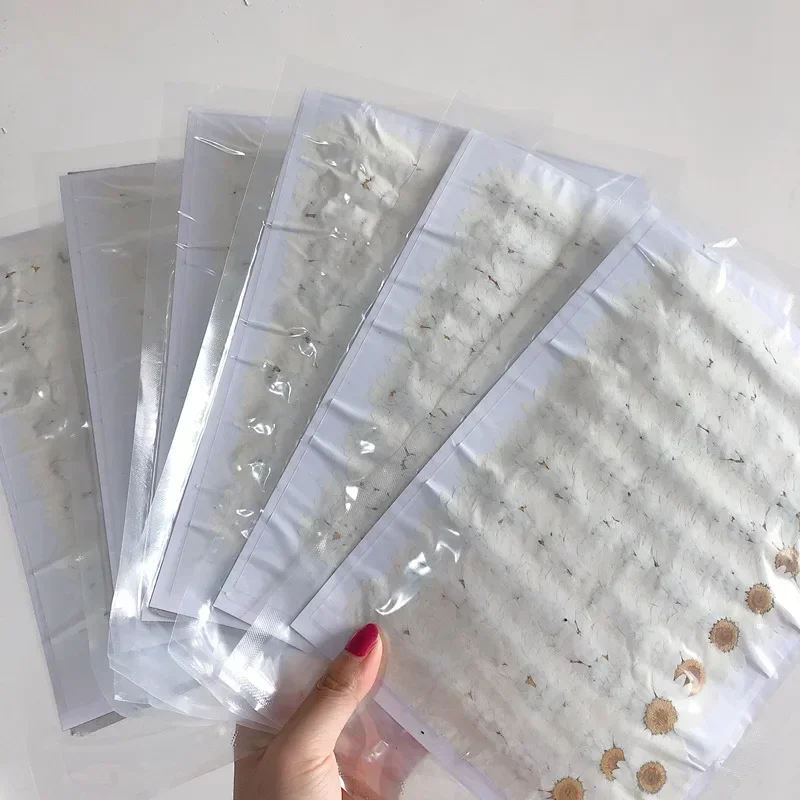 60X bunga krisan putih alami t - Dried Flower Bookmark ulasan dan harga