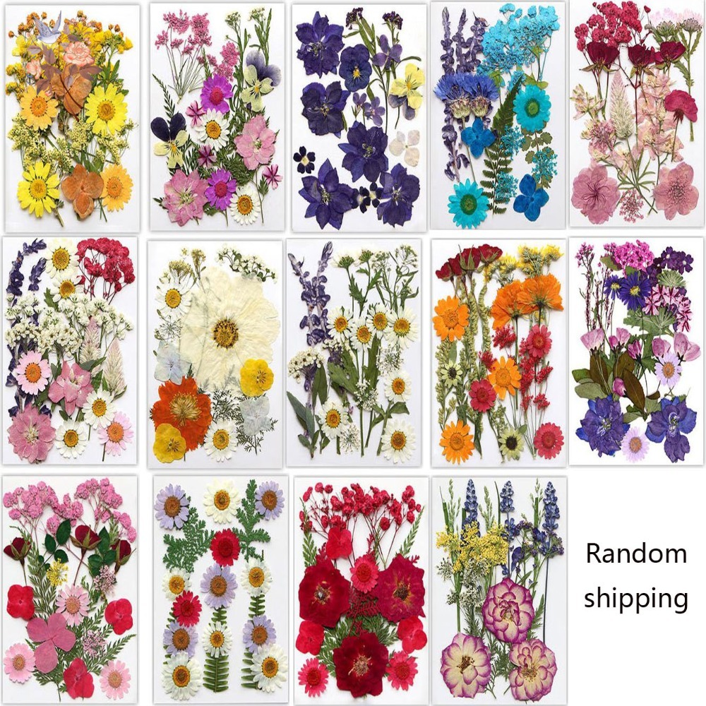 Bunga Kering Tekan Buatan Tang - Dried Flower Bookmark ulasan dan harga