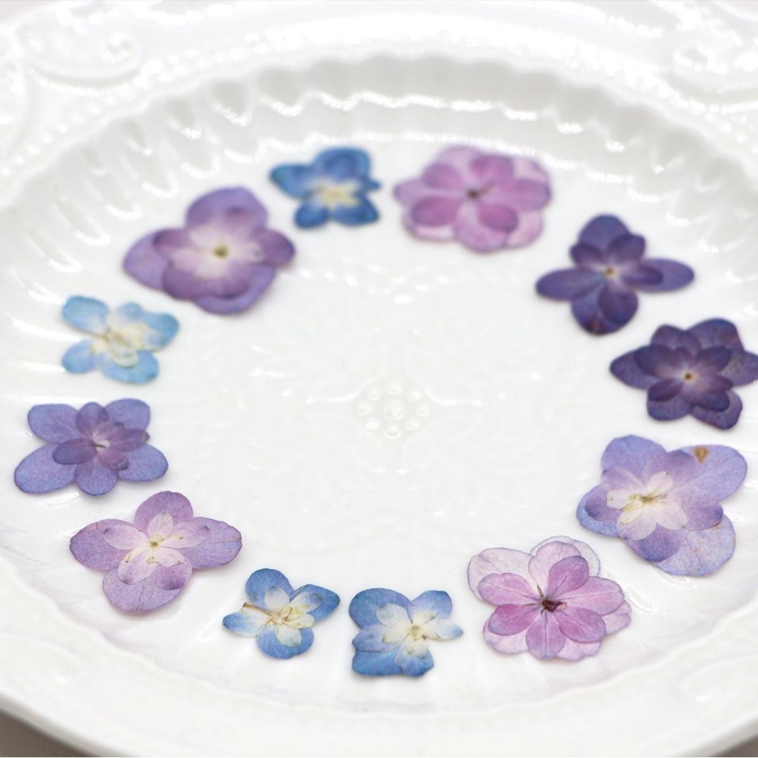 60 Buah Bunga Kering Hydrangea - Dried Flower Bookmark ulasan dan harga