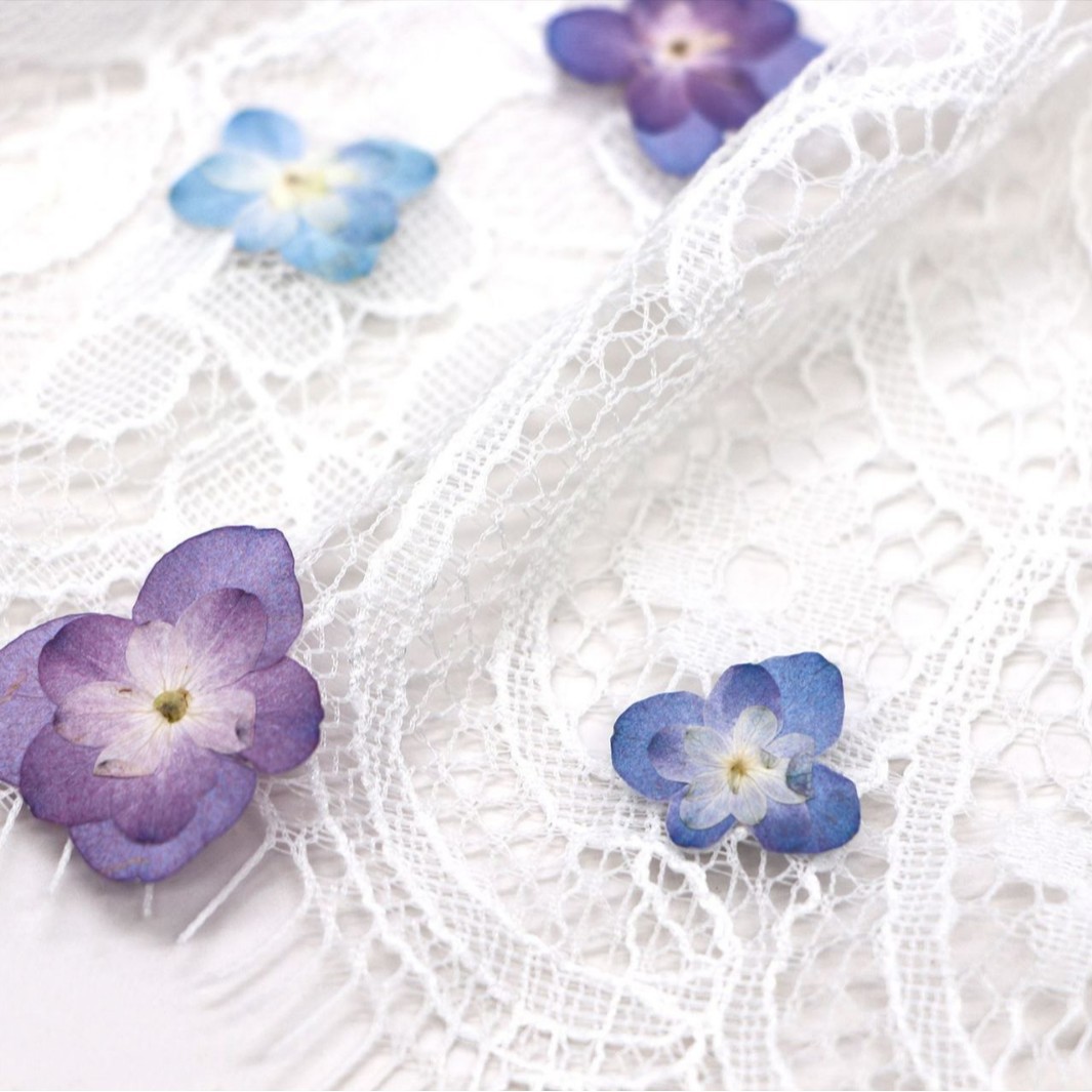 60 Buah Bunga Kering Hydrangea - Dried Flower Bookmark ulasan dan harga